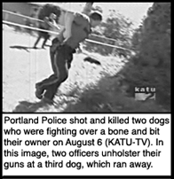 [Officers unholster 
guns at a dog]
